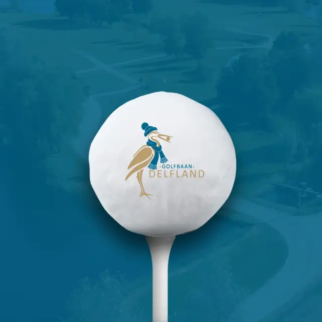 Plaatje website Sneeuwbal 2026