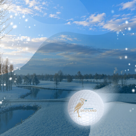 Webafbeelding WInterbattle golf